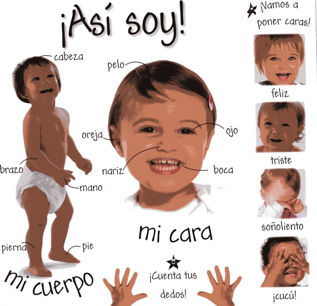 Aula Box. El cuerpo y la cara · Centro de Educación Infantil en ...