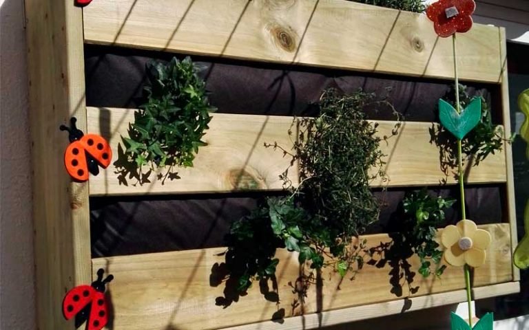 blog-huerto-ecologico-sacapuntas-valencia