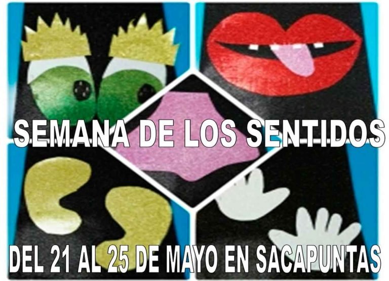 Semana de los Sentidos en la Escuela infantil Sascapuntas sin cortes ni puntas Valencia 2018